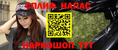 Альфа ПВП Дубна